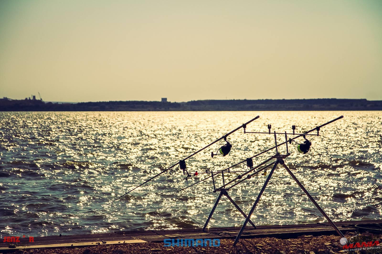 Taxe si regulament de pescuit la balta Corbu din Constanta in anul 2017.